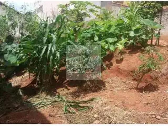 Terreno / Lote para Venda em Conselheiro Lafaiete/MG Carijós