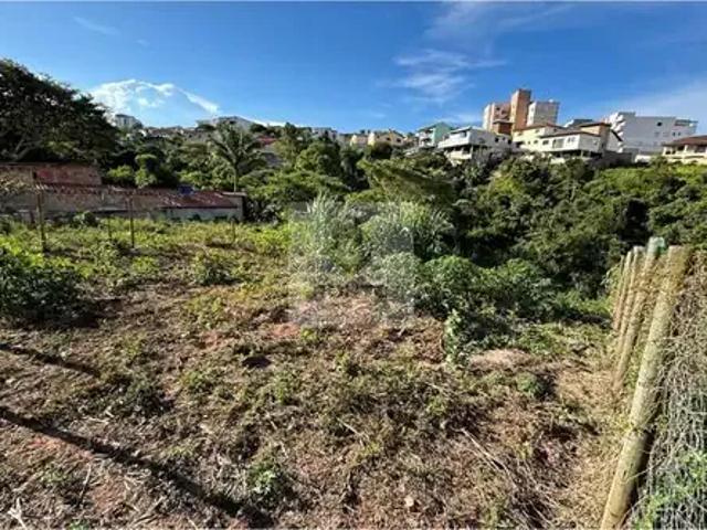 Terreno / Lote para Venda em Conselheiro Lafaiete/MG Jardim Inconfidentes