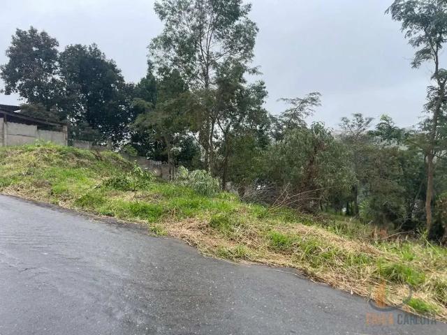 Terreno / Lote para Venda em Conselheiro Lafaiete/MG Lima Dias