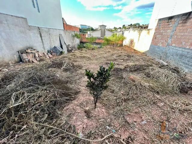 Terreno / Lote para Venda em Conselheiro Lafaiete/MG Parque Cidade