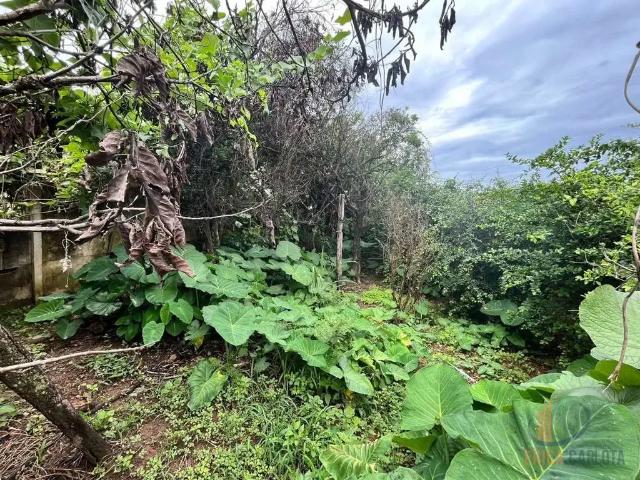 Terreno / Lote para Venda em Conselheiro Lafaiete/MG São João