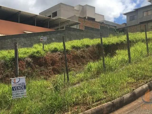 Terreno / Lote para Venda em Conselheiro Lafaiete/MG São Lucas