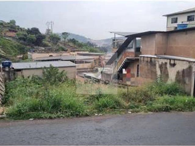 Terreno / Lote para Venda em Conselheiro Lafaiete/MG Santa Terezinha