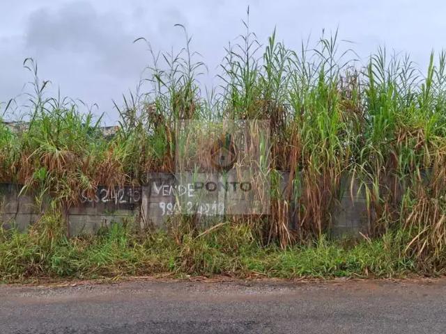 Terreno / Lote para Venda em Conselheiro Lafaiete/MG Santo Agostinho