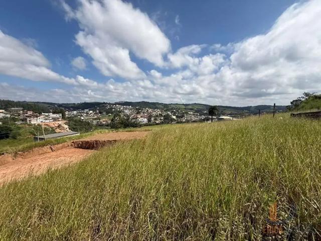 Terreno / Lote para Venda em Conselheiro Lafaiete/MG Santo Agostinho