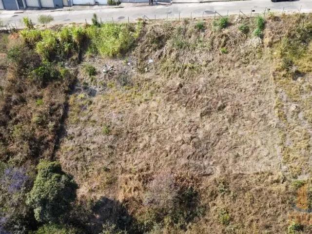 Terreno / Lote para Venda em Conselheiro Lafaiete/MG Santo Agostinho