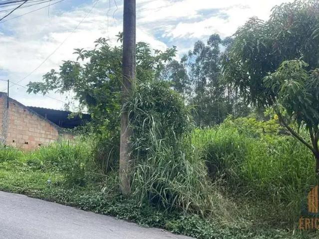 Terreno / Lote para Venda em Conselheiro Lafaiete/MG Siderúrgico