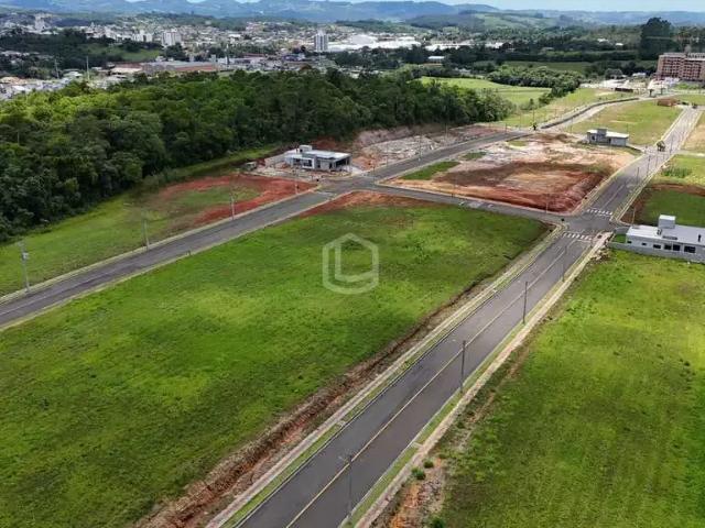 Terreno / Lote para Venda em Cocal do Sul/SC Centro