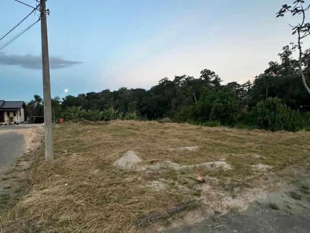 Terreno / Lote para Venda em Cocal do Sul/SC Linha Ferreira Pontes