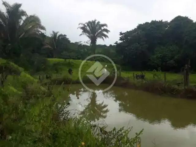 Terreno / Lote para Venda em Cocalzinho de Goiás/GO Zona Rural