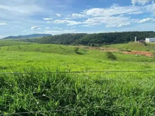 Terreno / Lote para Venda em Colatina/ES Baunilha