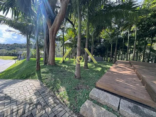 Terreno / Lote para Venda em Colombo/PR Colônia Faria