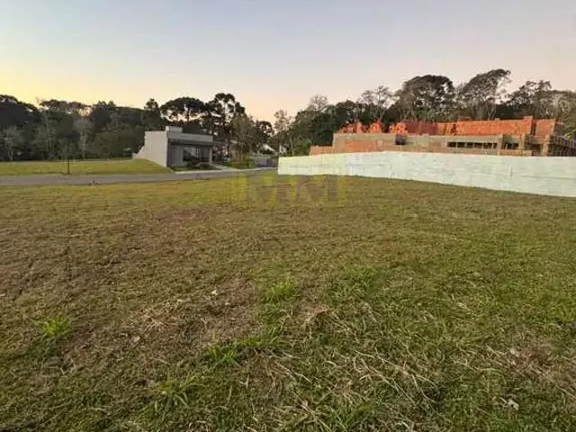 Terreno / Lote para Venda em Colombo/PR Colônia Faria