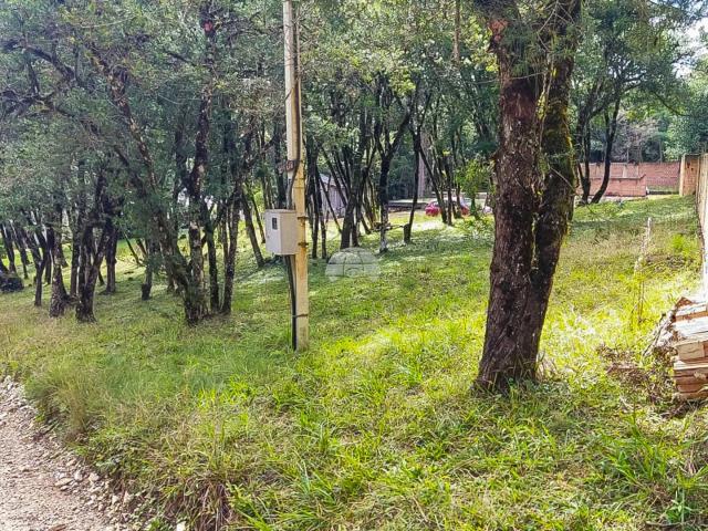 Terreno / Lote para Venda em Colombo/PR Capivari