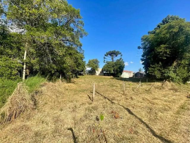 Terreno / Lote para Venda em Colombo/PR Centro