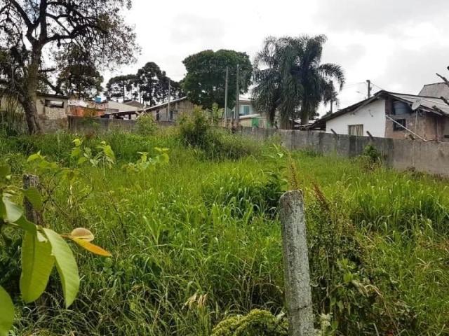 Terreno / Lote para Venda em Colombo/PR Arruda