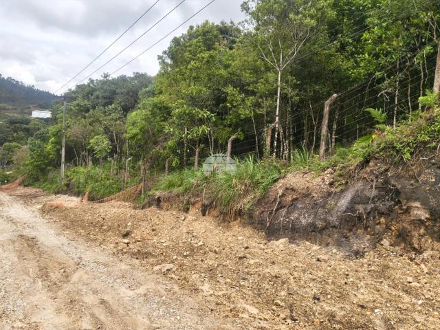 Terreno / Lote para Venda em Colombo/PR Gabirobal