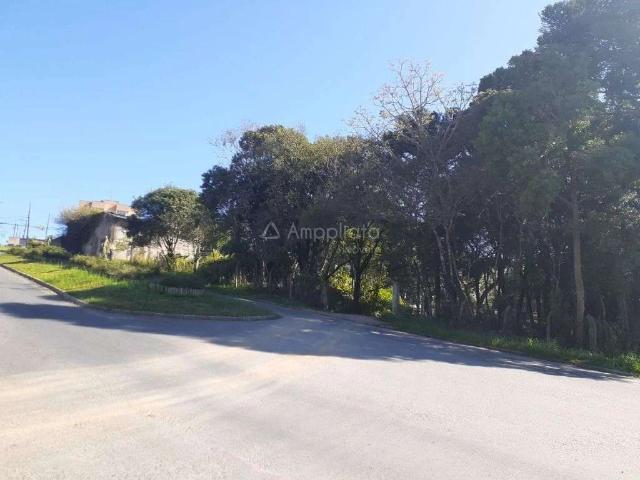 Terreno / Lote para Venda em Colombo/PR Fátima