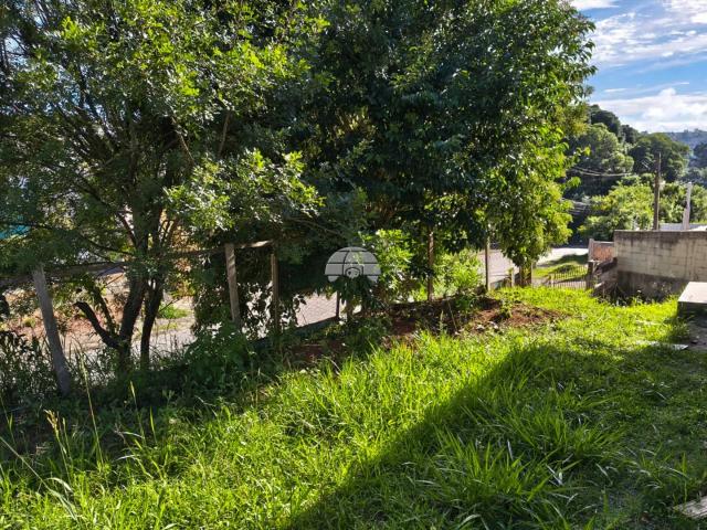 Terreno / Lote para Venda em Colombo/PR Jardim Osasco