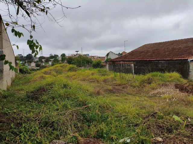 Terreno / Lote para Venda em Colombo/PR Jardim Palmares