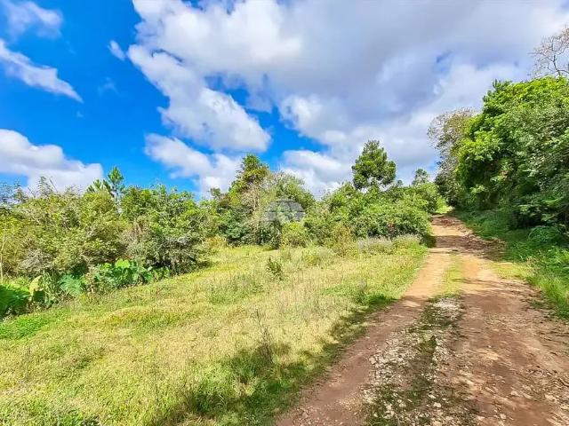 Terreno / Lote para Venda em Colombo/PR São Dimas