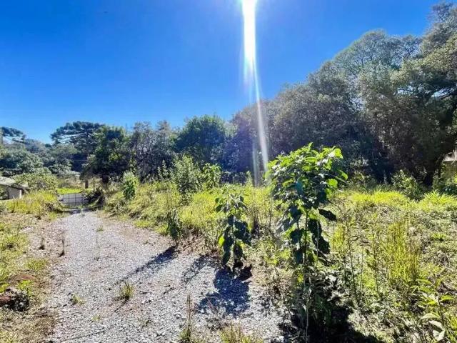 Terreno / Lote para Venda em Colombo/PR São Gabriel