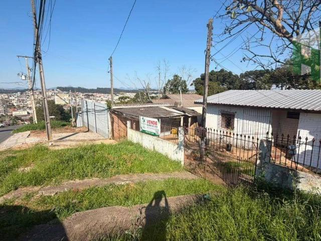 Terreno / Lote para Venda em Colombo/PR Santa Terezinha