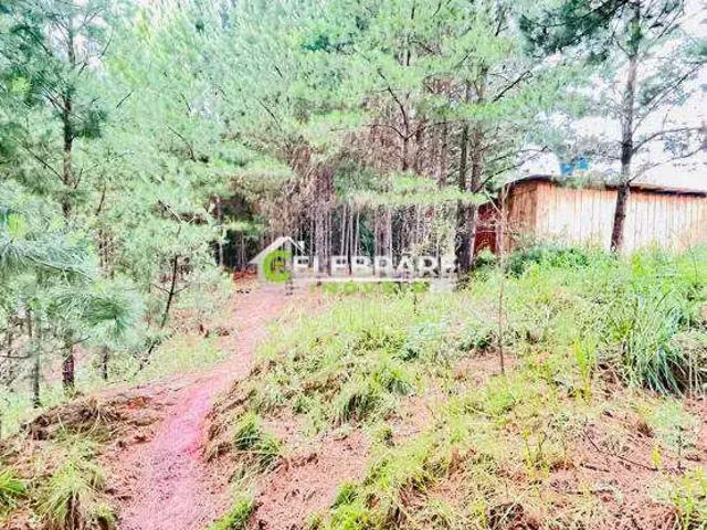 Terreno / Lote para Venda em Colombo/PR Parque do Embu