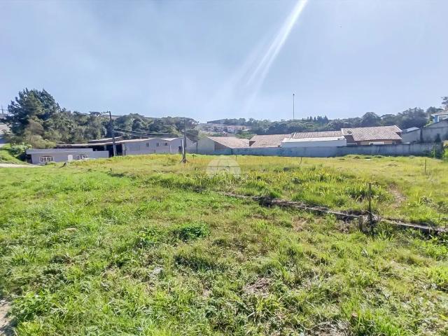 Terreno / Lote para Venda em Colombo/PR Parque do Embu
