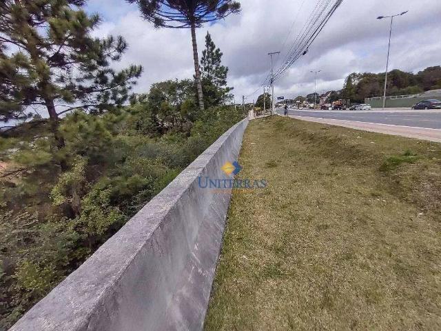 Terreno / Lote para Venda em Colombo/PR Parque do Embu