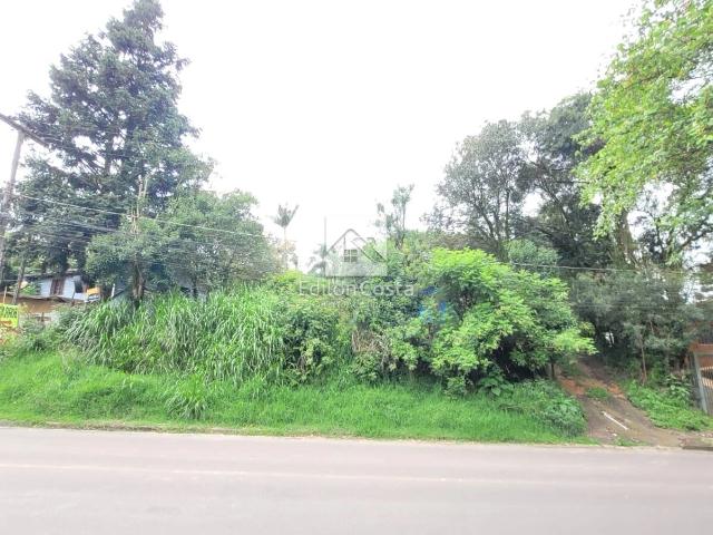 Terreno / Lote para Venda em Colombo/PR Roça Grande 2 Quartos