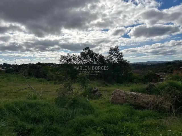 Terreno / Lote para Venda em Colombo/PR Roça Grande