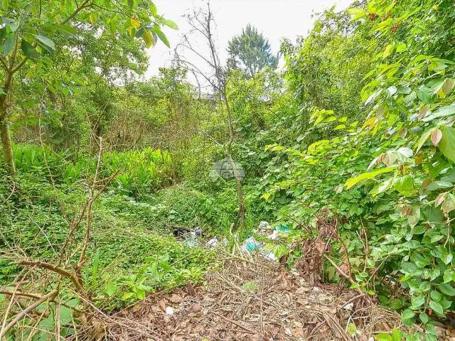 Terreno / Lote para Venda em Colombo/PR Roça Grande
