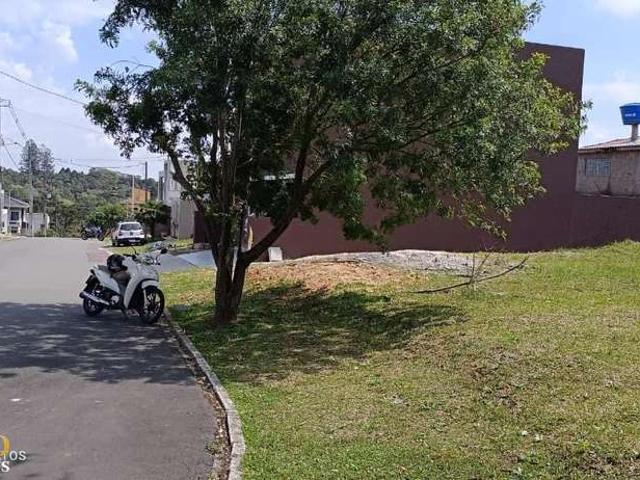 Terreno / Lote para Venda em Colombo/PR Roça Grande