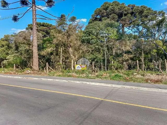 Terreno / Lote para Venda em Colombo/PR Roça Grande