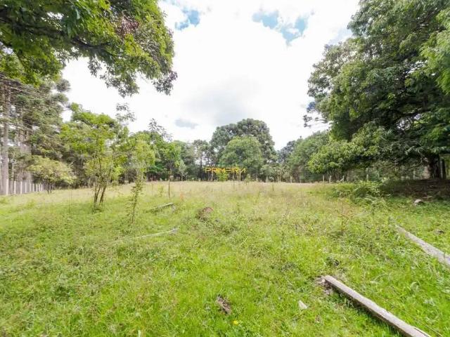 Terreno / Lote para Venda em Colombo/PR Roseira