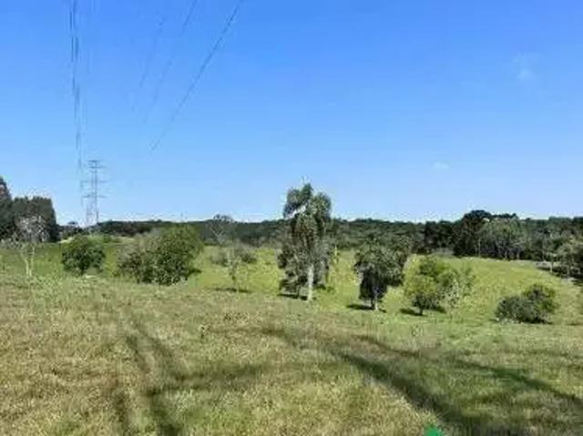 Terreno / Lote para Venda em Colombo/PR Roseira
