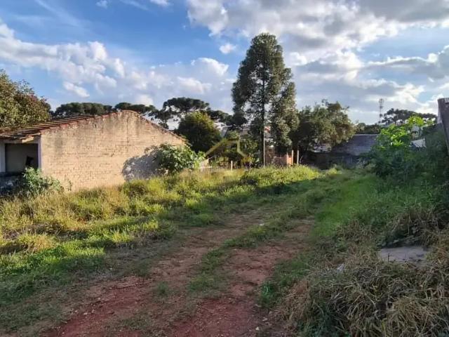 Terreno / Lote para Venda em Colombo/PR Rio Verde