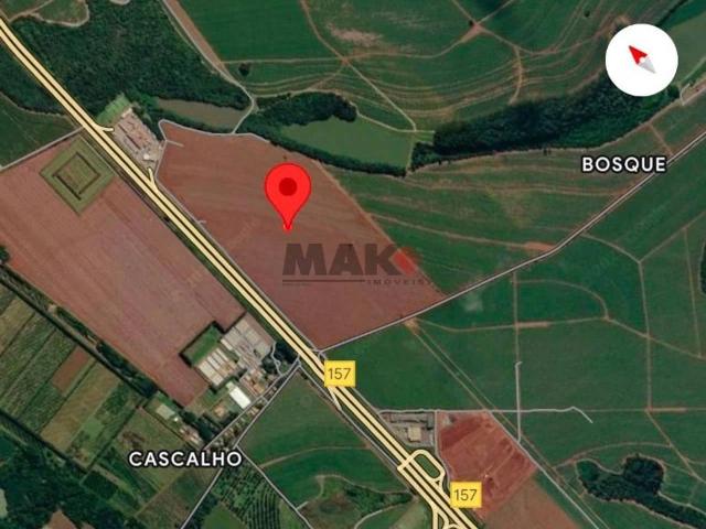 Terreno / Lote para Venda em Cordeirópolis/SP Cascalho