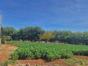 Terreno / Lote para Venda em Cordeirópolis/SP Engenho Velho