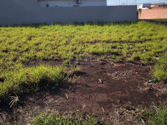 Terreno / Lote para Venda em Cordeirópolis/SP Residencial Paraty
