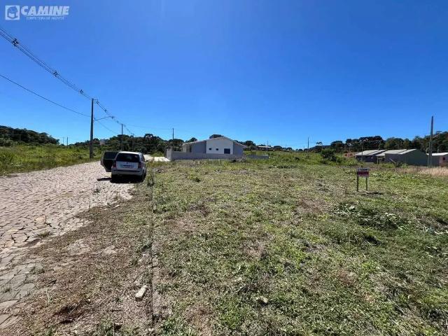 Terreno / Lote para Venda em Coronel Domingos Soares/PR Centro