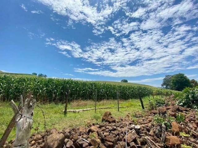 Terreno / Lote para Venda em Coronel Freitas/SC Zona Rural