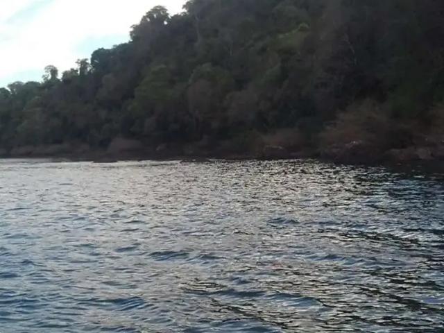 Terreno / Lote para Venda em Coronel Freitas/SC Zona Rural