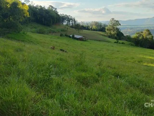 Terreno / Lote para Venda em Coronel Freitas/SC Zona Rural