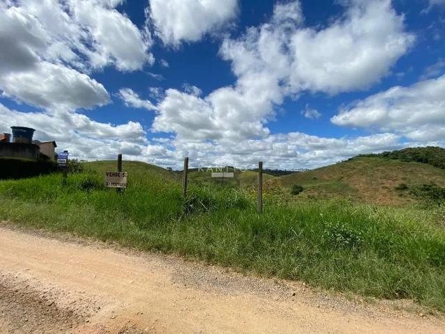 Terreno / Lote para Venda em Coronel Pacheco/MG Zona Rural