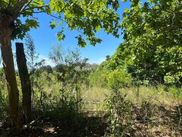 Terreno / Lote para Venda em Coronel Pilar/RS Centro