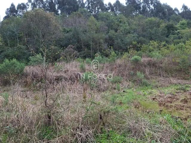 Terreno / Lote para Venda em Coronel Pilar/RS Centro