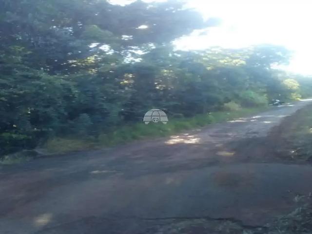 Terreno / Lote para Venda em Coronel Vivida/PR Imaribo