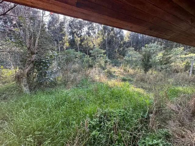 Terreno / Lote para Venda em Coronel Vivida/PR Zona Rural